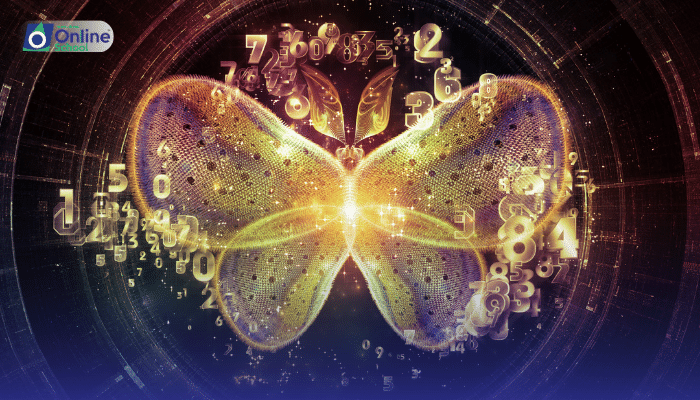 Lesson 04: Types of Symmetry in Animals